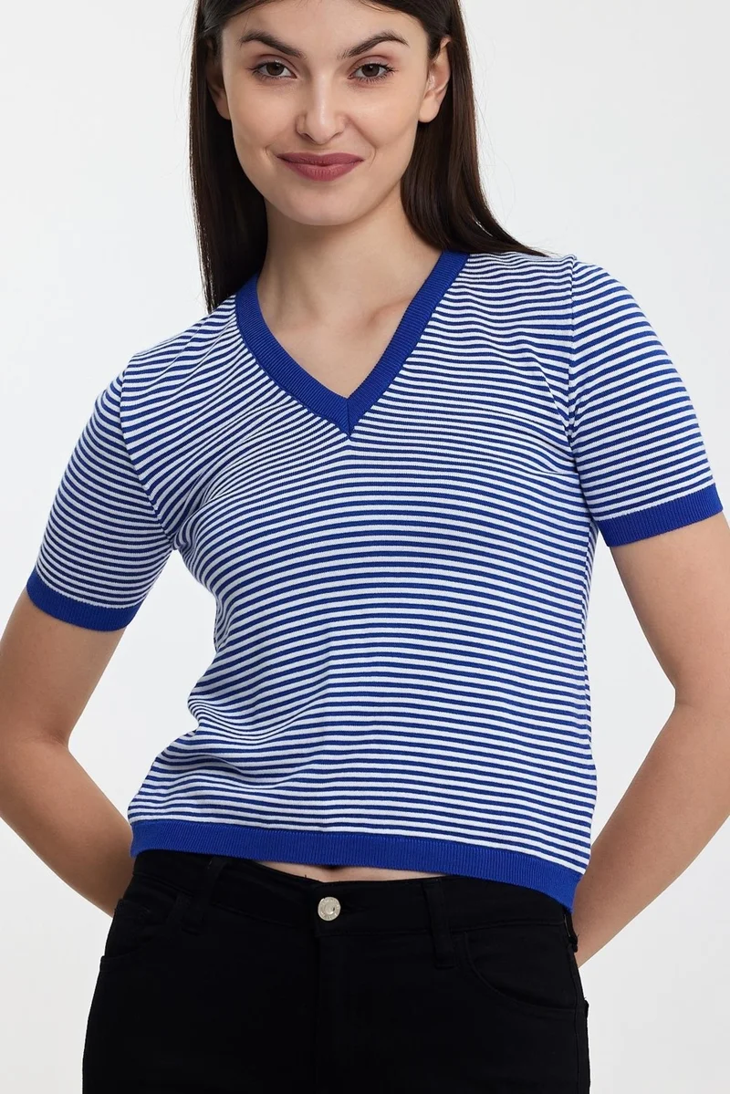الكسندر جاردي Striped V-Neck SWEATER(A92062-S)