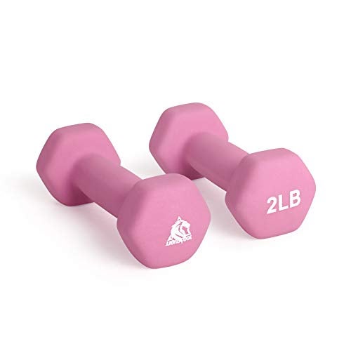 LIONSCOOL Neoprene Coated Dumbbell Weights (Hot Pink 2lb Pair) - Image 1