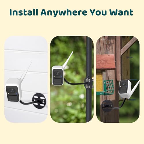 NETVUE by Birdfy Upgraded Smart Bird Feeder Camera, Solar Powered, Auto Bird Video Capture, Instant Notifications, AI Identify 6000+ Species - Image 4