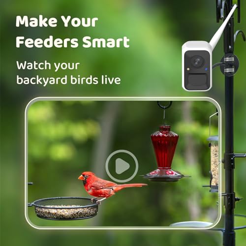 NETVUE by Birdfy Upgraded Smart Bird Feeder Camera, Solar Powered, Auto Bird Video Capture, Instant Notifications, AI Identify 6000+ Species - Image 2