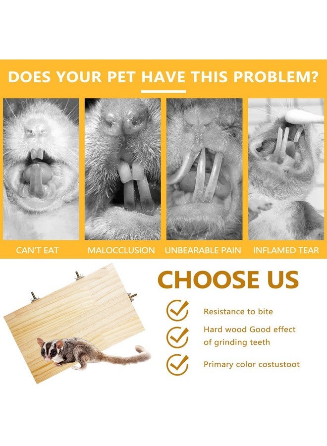 هامليدي منصة خشبية لشينشيلا، حافة 13 × 8 بوصة، حامل مجثم للطيور، قطعتان، منصة كبيرة للأرانب والنمس، خنزير غينيا، كونور، هامستر، ببغاء، ماكاو، كوكاتيل - Image 5