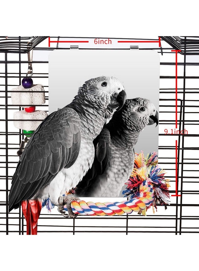 كولورداي مرآة طيور مقاس 9 بوصات مع مجثم حبل، أرجوحة طيور، ألعاب قفص ببغاء لببغاء الكونيور الرمادي الأفريقي، طائر الكوكتيل، طائر الحب، الكناري، كبير - Image 1