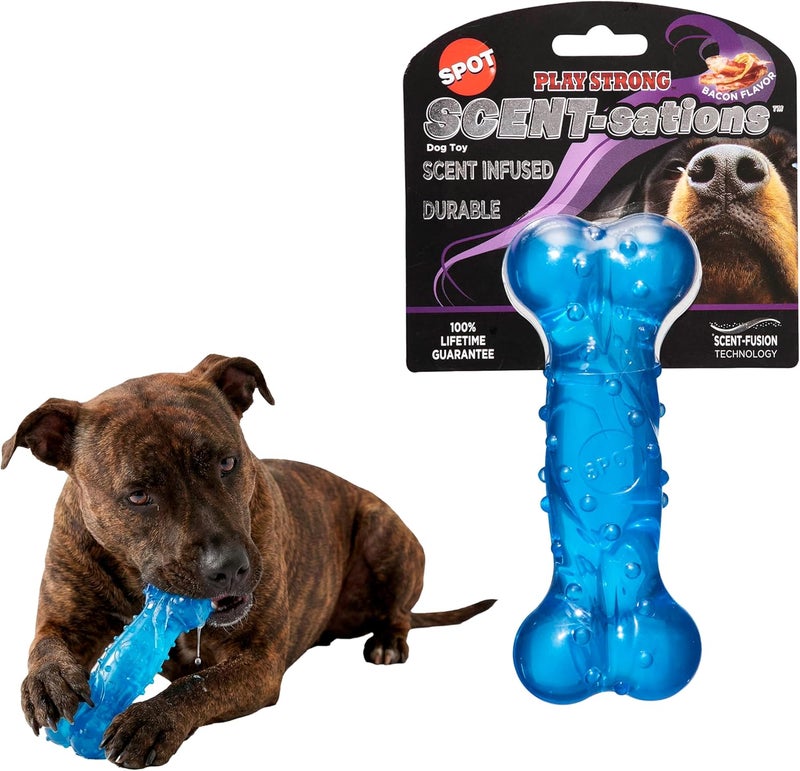 سبوت SPOT Play Strong Scent-sations Bone بنكهة البيكون، طول 6 بوصات | ألعاب للكلاب ذات العادات المضغية العدوانية | عظام للكلاب | ألعاب مضغ للكلاب العدوانية | لعبة تفاعلية للكلاب | ألعاب مضغ للكلاب ذات العادات المضغية العدوانية، لون أزرق - Image 1