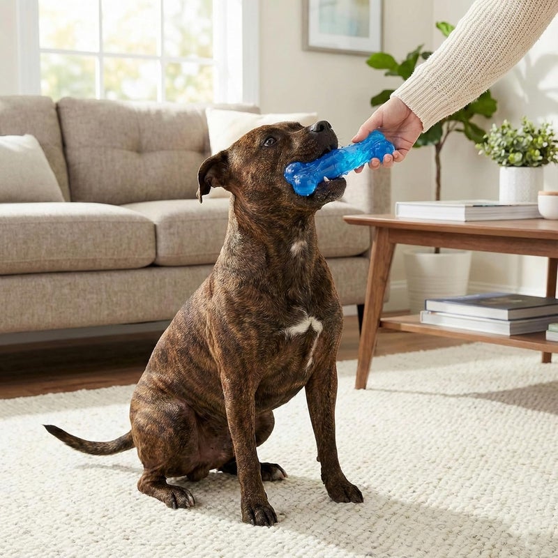 سبوت SPOT Play Strong Scent-sations Bone بنكهة البيكون، طول 6 بوصات | ألعاب للكلاب ذات العادات المضغية العدوانية | عظام للكلاب | ألعاب مضغ للكلاب العدوانية | لعبة تفاعلية للكلاب | ألعاب مضغ للكلاب ذات العادات المضغية العدوانية، لون أزرق - Image 5