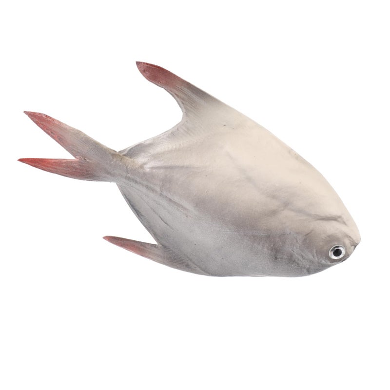 Lifelike Artificial Fish Model Home Decor Kitchen Ornament Photography Display Easy Clean - Image 2