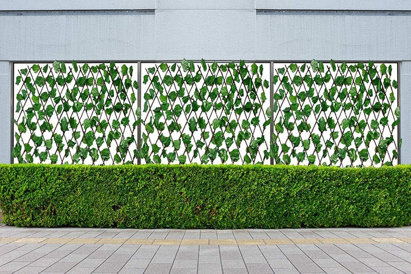 Homenique Money Plant Expanding Artificial Fence Grass Fence Artificial Wall Hedge Balcony Privacy Decorative Trellis Faux Green Grass Plant for Home Decor - Expandable to 4 x 4 Feet (Pack of 1) - Image 2