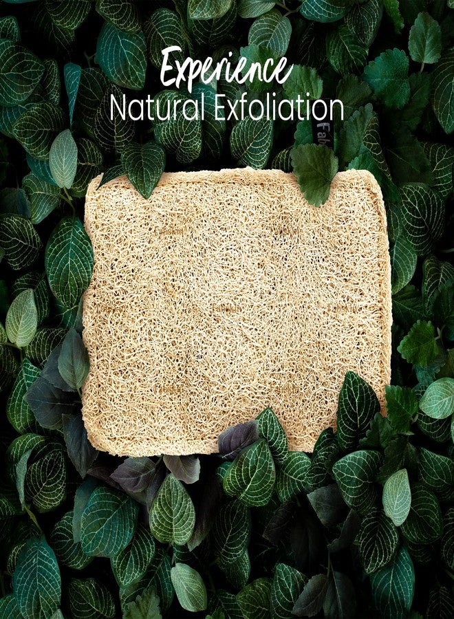 Fabskin Natural Loofah Body Scrubber For Bathing For Men & Women I Body Sponge Scrubber for Bathing | Organic Luffa for Bath Shower Skin Exfoliation (Pack 4) - Image 4