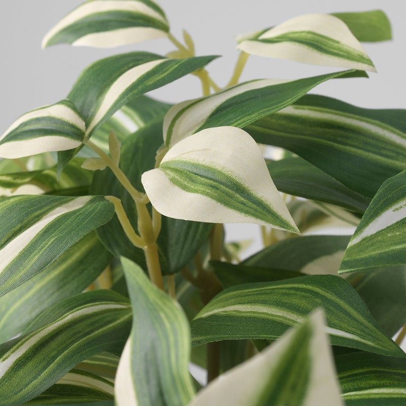 FEJKA Artificial Potted Trailing Plant, Indoor/Outdoor, Green/White, 12 cm Pot, 60 cm - Image 4