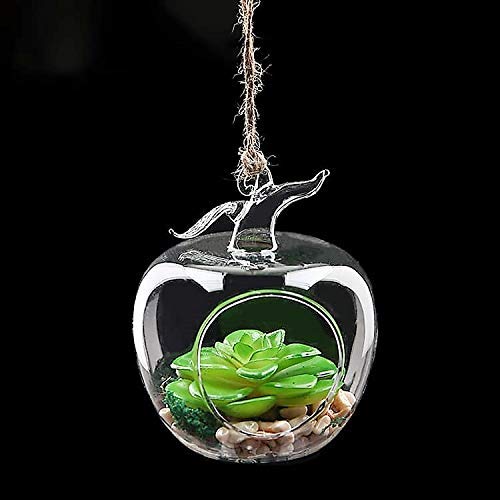 MAGICMOON MAGICMOON Glass Hanging Planter Apple Shape TEALIGHT Candle Holder Indoor Gardening Terrarium for Artificial Plants Transparent Set of 2 2 Pieces 5 Apple Terrarium  - Image 1