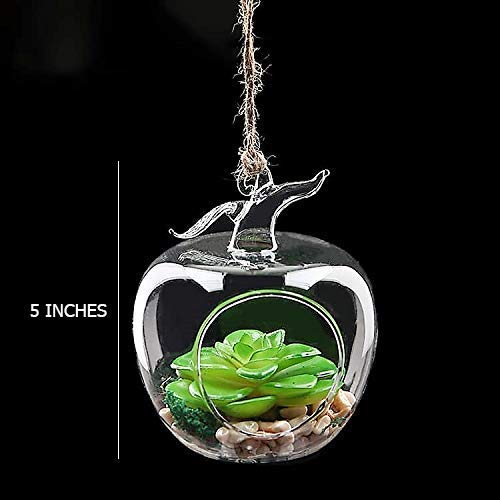 MAGICMOON MAGICMOON Glass Hanging Planter Apple Shape TEALIGHT Candle Holder Indoor Gardening Terrarium for Artificial Plants Transparent Set of 2 2 Pieces 5 Apple Terrarium  - Image 3