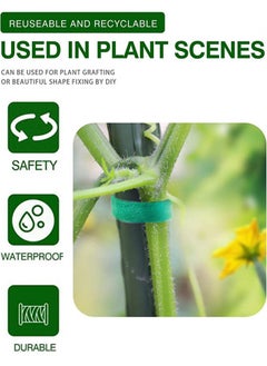 Generic 3 Pieces Plant Ties Garden Tape, Reusable Nylon Plant Tie Strap 5M Self Adhesive Tape Adjustable Plant Supports for Effective Growing Tree, Green Ties for Home Garden Sorting Accessories  - Image 2