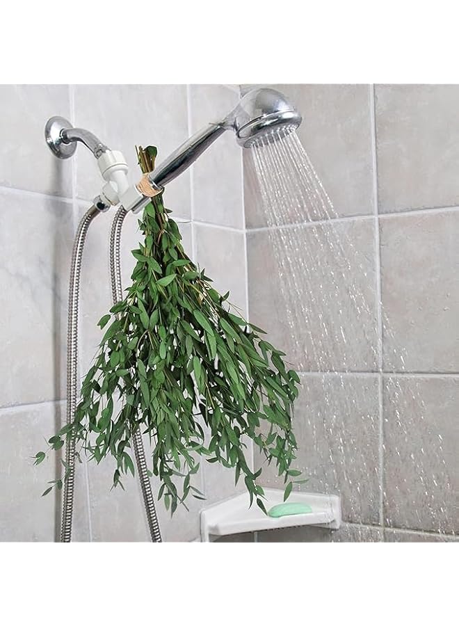 The Bros سيقان الكينا الحقيقية ديكور خضري 20 قطعة 16 بوصة نبات الكينا المجفف سيقان خضري محفوظة لتعبئة المزهريات في المنزل وزينة زهور الزفاف - Image 3