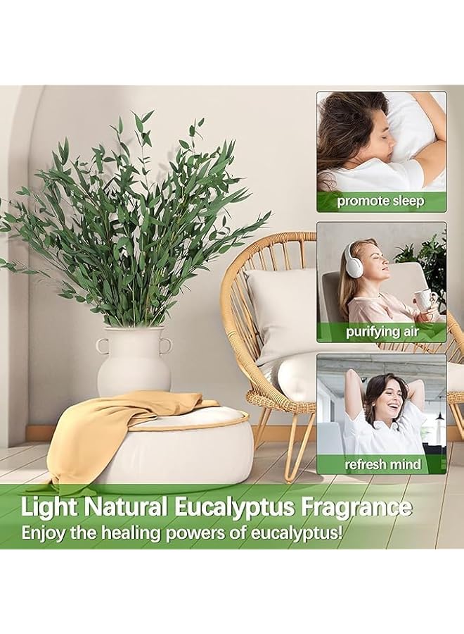 The Bros سيقان الكينا الحقيقية ديكور خضري 20 قطعة 16 بوصة نبات الكينا المجفف سيقان خضري محفوظة لتعبئة المزهريات في المنزل وزينة زهور الزفاف - Image 5