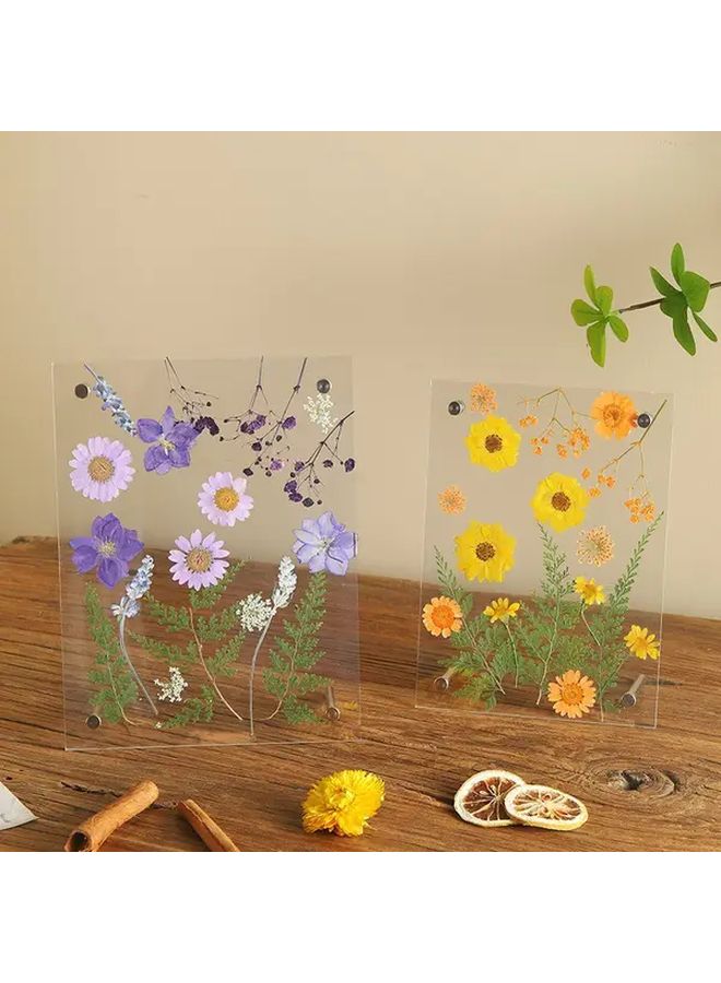 Handmade Dried Flower Pressed Specimen In Acrylic Frame Minimalist 6 Inch Wall Art Home Decor - Image 2