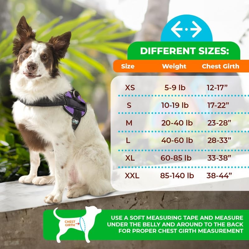 Joyride Harness 2.0 - The Original Side Ring No Pull Dog Harness - No Choke, Escape Proof, Reflective, 3 Leash Clips, Quick Fit Pet Vest - Easy Walks & Training - for Small, Medium & Large Dogs - Image 2