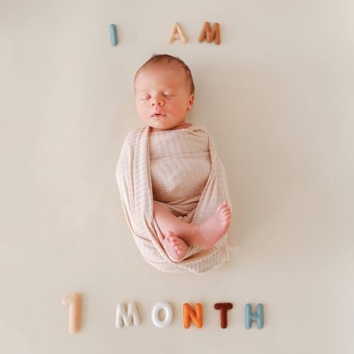 Lucy Darling Felt Baby Monthly Milestone Numbers – Signs & Photo Props – Soft Letters & Numbers for Baby Announcement, Newborn Photography – Neutral - Image 2
