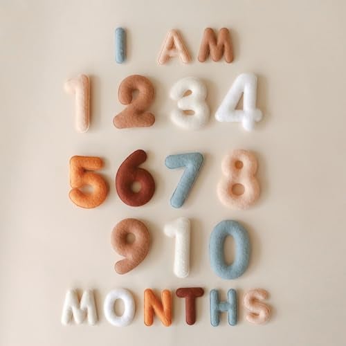 Lucy Darling Felt Baby Monthly Milestone Numbers – Signs & Photo Props – Soft Letters & Numbers for Baby Announcement, Newborn Photography – Neutral - Image 3
