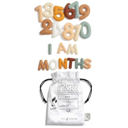 Lucy Darling Felt Baby Monthly Milestone Numbers – Signs & Photo Props – Soft Letters & Numbers for Baby Announcement, Newborn Photography – Neutral - Image 4