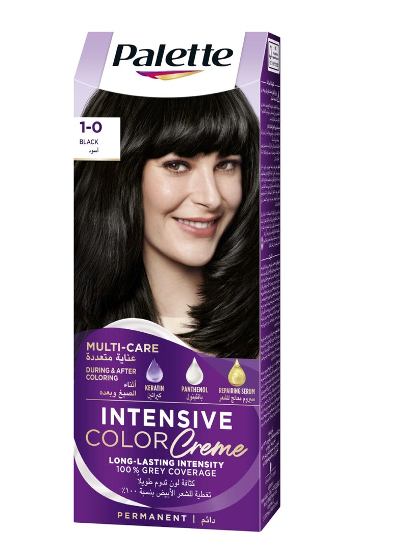 PALETTE HAIR COLOR 1-0 BLACK