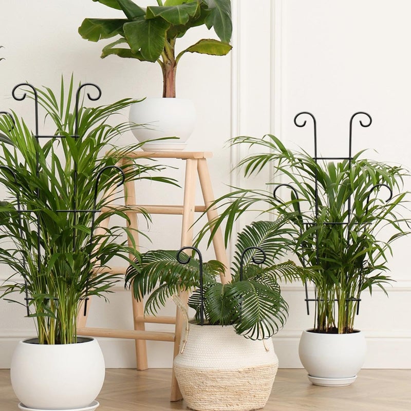 Xeeol Plant Trellis for Potted Plants 2p, Larger 23in Garden Trellis for Climbing Plants Indoor Outdoor, Rustproof House Plant Support Stakes for Pothos Hoya Ivy Flower - Image 4