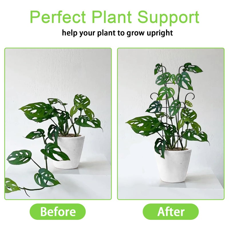 Xeeol Plant Trellis for Potted Plants 2p, Larger 23in Garden Trellis for Climbing Plants Indoor Outdoor, Rustproof House Plant Support Stakes for Pothos Hoya Ivy Flower - Image 2