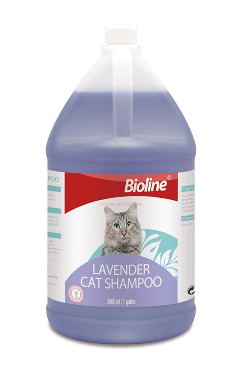 بايولاين شامبو بيولاين للقطط 3.8 لتر - برائحة اللافندر، تركيبة لطيفة للقطط - Image 1