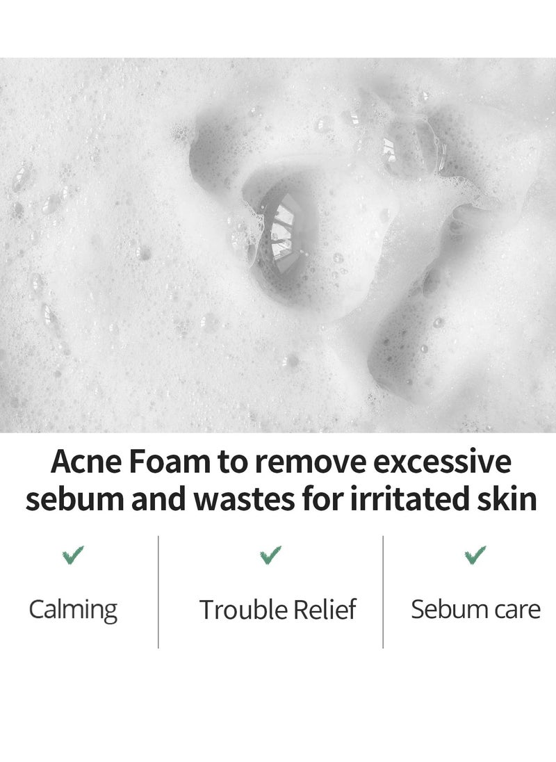 FARMSTAY - FARMSTAY TeaTree Biome Calming Acne Foam - Gentle Daily Facial Cleanser for Sensitive Skin, Korean Skin Care, Hydrating Facial Wash, Acne Free Cleansing Foam, for women & men, 6.08 Fl. Oz / 180ml - Image 1