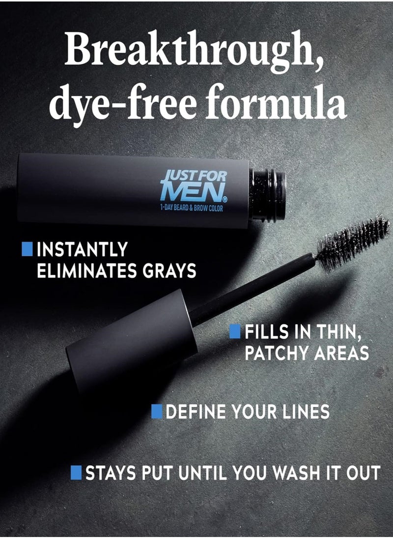 Just For Men - 1-Day temporary Color for Beard and Eyebrows, up to 30 Applications,Black - Image 1