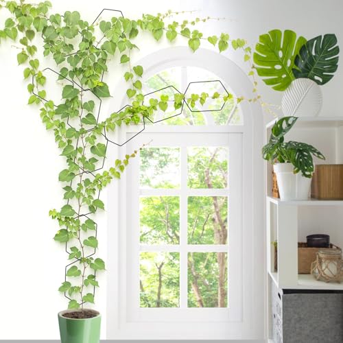 CAPHONT Chain Trellis for Climbing Plants Indoor 6.69 Inch Garden Trellis for Climbing Plants Metal Plant Supports Wall Trellis for Monstera, Pothos, Ivy, Roses Hexagonal Design Black (14 Pcs) - Image 1