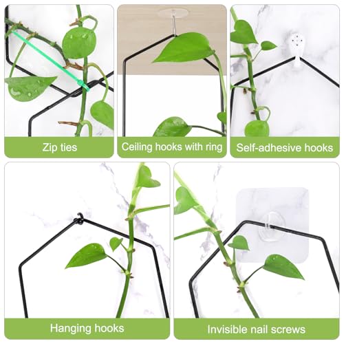 CAPHONT Chain Trellis for Climbing Plants Indoor 6.69 Inch Garden Trellis for Climbing Plants Metal Plant Supports Wall Trellis for Monstera, Pothos, Ivy, Roses Hexagonal Design Black (14 Pcs) - Image 3