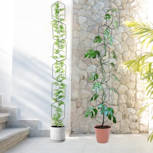 CAPHONT Chain Trellis for Climbing Plants Indoor 6.69 Inch Garden Trellis for Climbing Plants Metal Plant Supports Wall Trellis for Monstera, Pothos, Ivy, Roses Hexagonal Design Black (14 Pcs) - Image 5