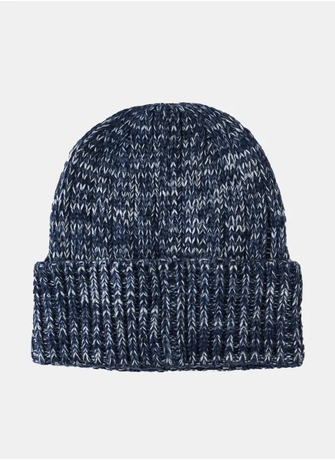 American Eagle AE Heritage Ribbed Beanie