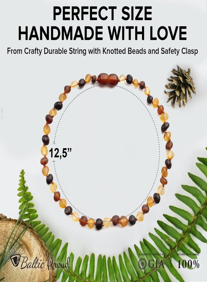 Baltic Proud Amber Necklace (Unisex Multi Raw 12.5 Inches) - Certified Premium Quality Raw Baltic Sea Amber - Image 2