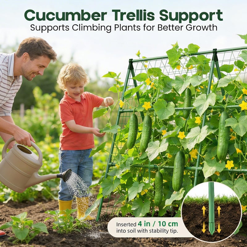 K-Brands 50x50 Cucumber Trellis for Raised Bed - A Frame Garden Trellis for Climbing Plants Outdoor - Cucumbers, Pea, Zucchini, Squash,Tomato, Green Bean, Vine, Watermelon, Melon, Pumpkin - Image 3