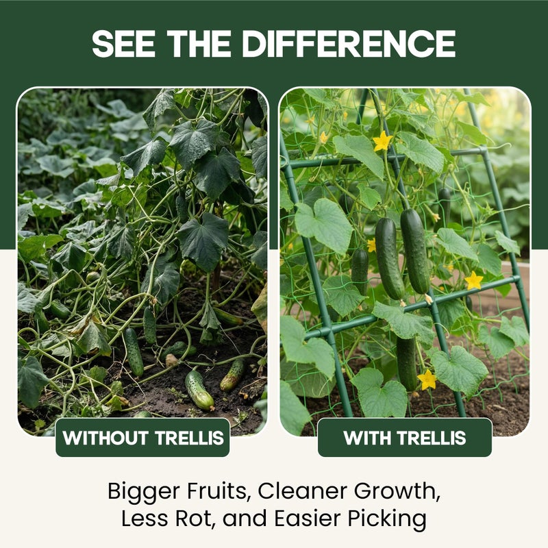 K-Brands 50x50 Cucumber Trellis for Raised Bed - A Frame Garden Trellis for Climbing Plants Outdoor - Cucumbers, Pea, Zucchini, Squash,Tomato, Green Bean, Vine, Watermelon, Melon, Pumpkin - Image 5
