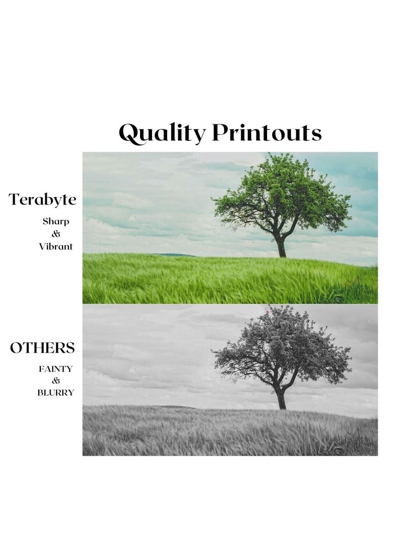 Terabyte TN450 High Yield Toner Cartridge Black  - Image 4