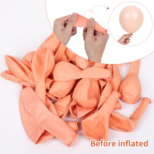 RUBFAC 105pcs Pastel Orange Balloons Peach Balloons Garland Arch Kit Different Sizes 18/12/10/5 Inches, Light Orange Balloons for Baby Shower Birthday Gender Reveal Party Decor - Image 4