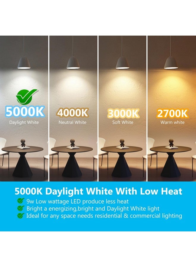 DAYBETTER BR30 LED Light Bulbs Indoor Flood Light, 6Pack 5000K Daylight White LED Bulb 65W Equivalent, Dimmable, E26 Base, 800LM, Recessed Can Bulb for Living Room Bedroom Dining Room Bathroom - Image 1