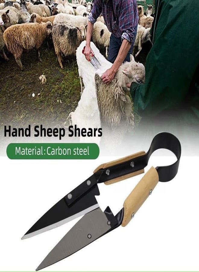 COZIESS 1Pcs, Heavy Duty Farm Shears for Sheep, Goat & Garden Use | Multi-Purpose Wool Cutter & Topiary Scissors | Precision Hair Clipper Tool for Livestock Grooming - Image 5