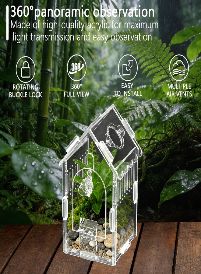 AuroraHJYJ House-Shaped Acrylic Insect Terrarium & Reptile Habitat - Multi-Purpose Insect Enclosure for Jumping Spiders - Clear Acrylic Insect Cage with Ventilation, Easy Maintenance - Image 4