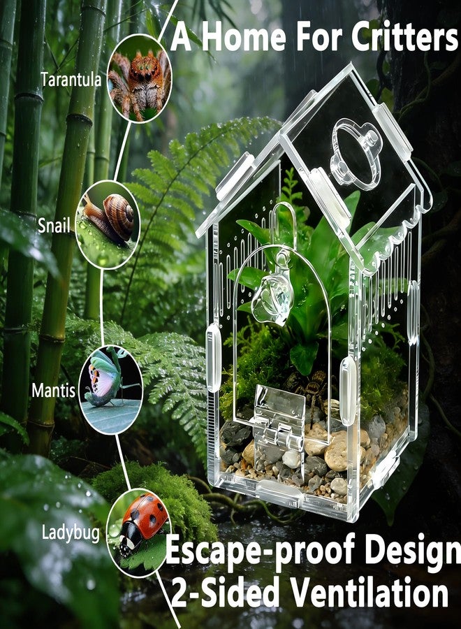 AuroraHJYJ House-Shaped Acrylic Insect Terrarium & Reptile Habitat - Multi-Purpose Insect Enclosure for Jumping Spiders - Clear Acrylic Insect Cage with Ventilation, Easy Maintenance - Image 3