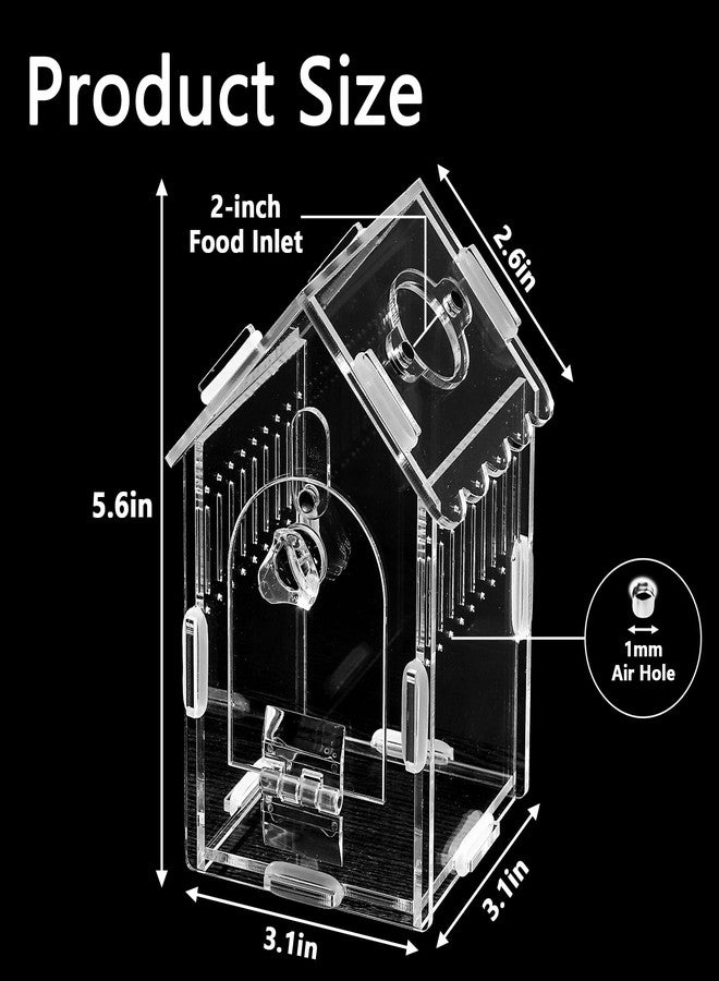 AuroraHJYJ House-Shaped Acrylic Insect Terrarium & Reptile Habitat - Multi-Purpose Insect Enclosure for Jumping Spiders - Clear Acrylic Insect Cage with Ventilation, Easy Maintenance - Image 2