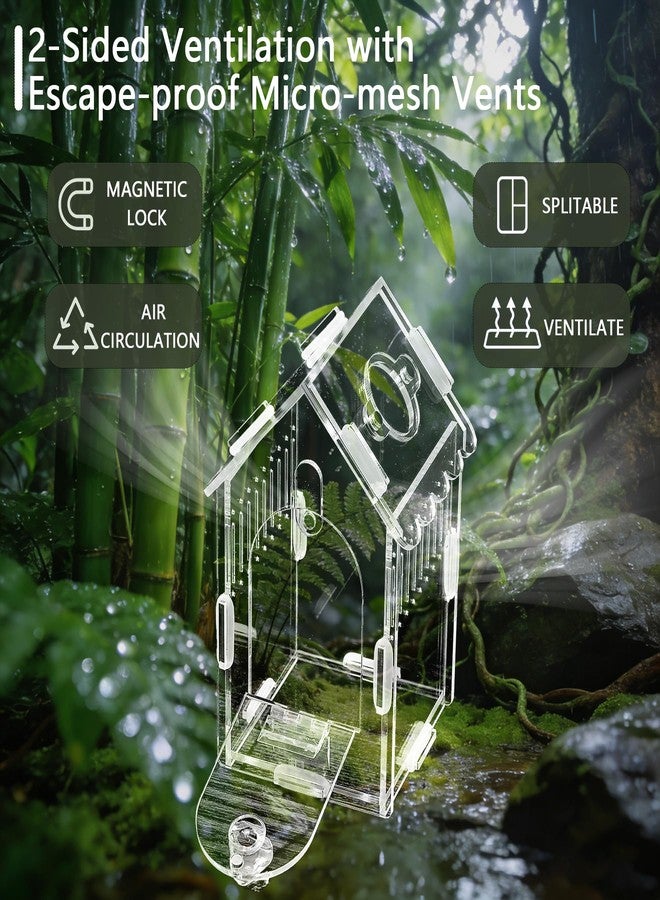 AuroraHJYJ House-Shaped Acrylic Insect Terrarium & Reptile Habitat - Multi-Purpose Insect Enclosure for Jumping Spiders - Clear Acrylic Insect Cage with Ventilation, Easy Maintenance - Image 5