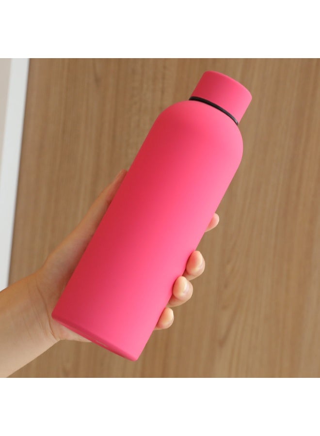 Stainless Steel Water Bottle, 750ml Insulated Water Bottle for Hot & Cold Drinks, Sports Water Bottle - Image 1
