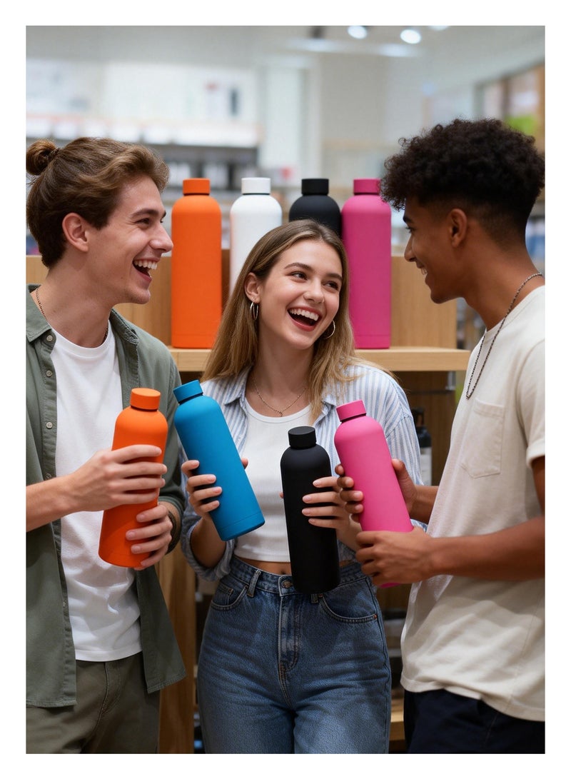 Stainless Steel Water Bottle, 750ml Insulated Water Bottle for Hot & Cold Drinks, Sports Water Bottle - Image 2