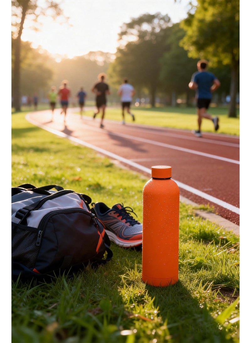 Stainless Steel Water Bottle, 750ml Insulated Water Bottle for Hot & Cold Drinks, Sports Water Bottle - Image 4