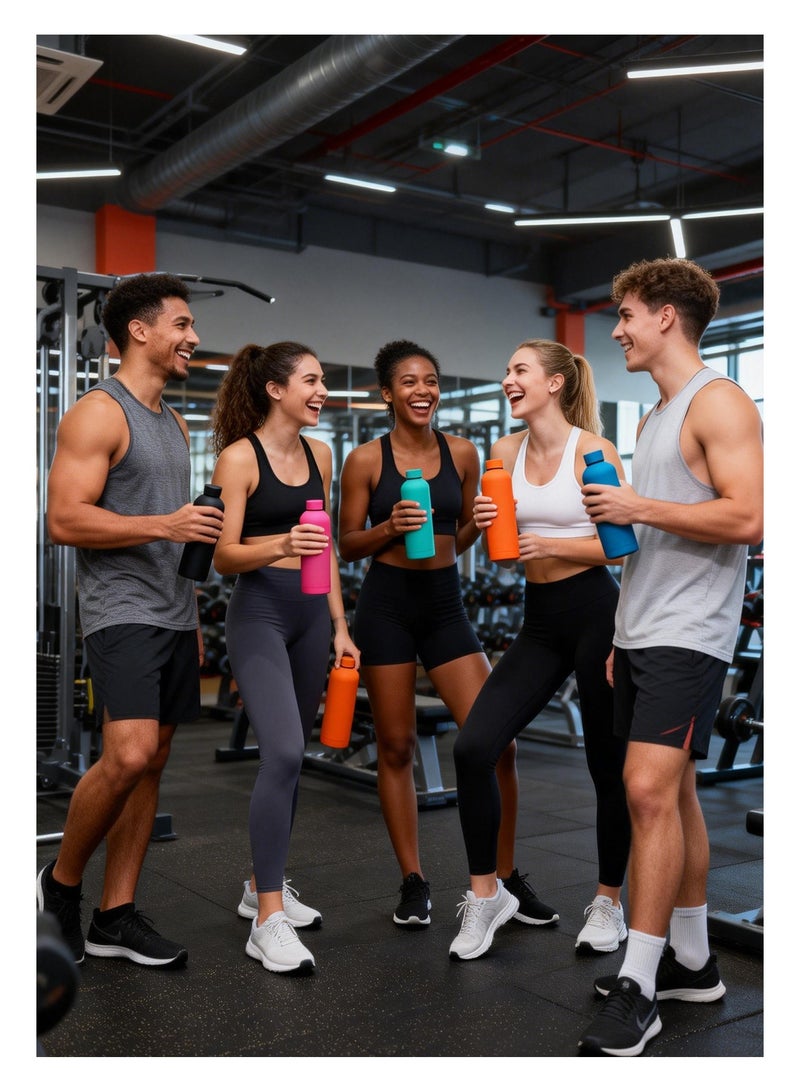 Stainless Steel Water Bottle, 750ml Insulated Water Bottle for Hot & Cold Drinks, Sports Water Bottle - Image 5