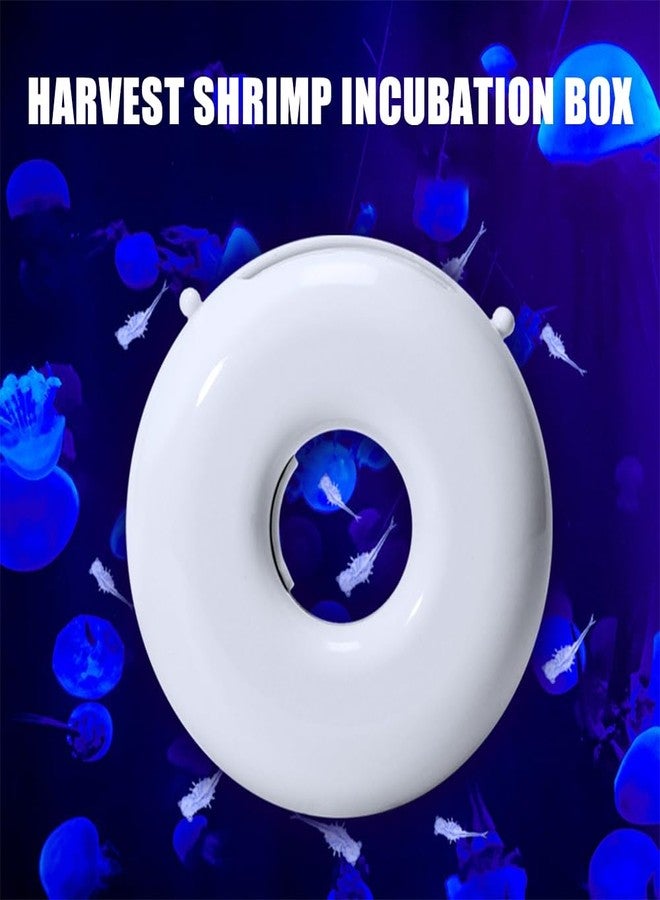 DONGKER Brine Shrimp Hatchery Incubator,PC Automatic Brine Shrimp Hatchery Dish for Seawater Saltwater Jellyfish Tanks (Not Applicable to Freshwater) - Image 2