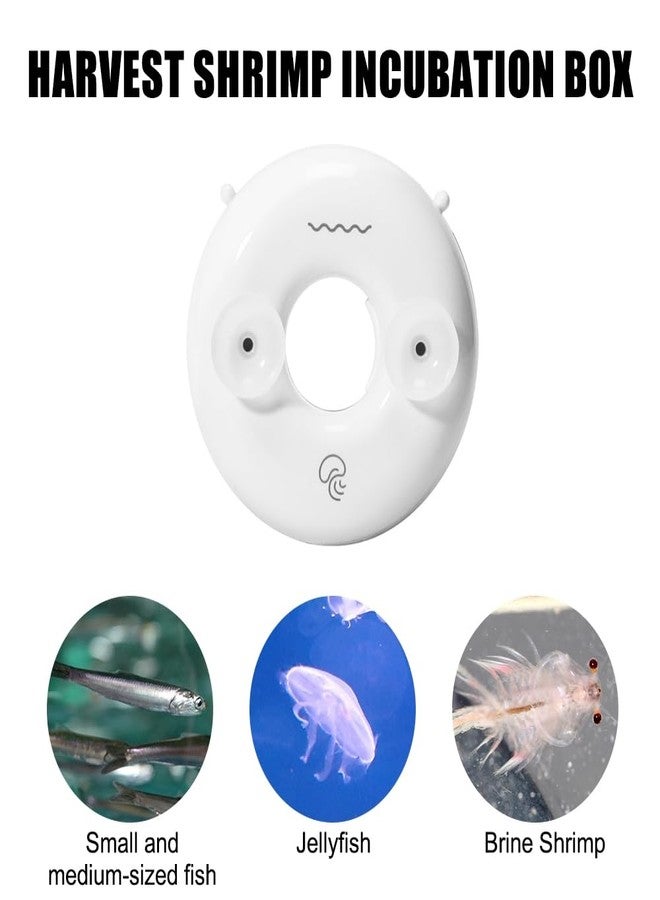 DONGKER Brine Shrimp Hatchery Incubator,PC Automatic Brine Shrimp Hatchery Dish for Seawater Saltwater Jellyfish Tanks (Not Applicable to Freshwater) - Image 5
