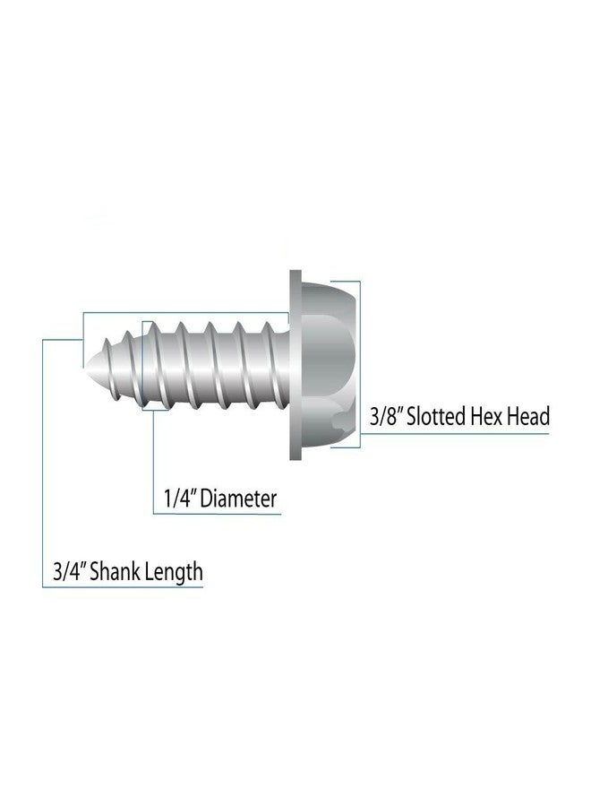 BCP Fasteners Four (4) Stainless Steel Licence Plate Screws (BCP253) - Image 2